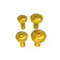 DBK Special Parts (Ducabike) Underseat Frame Panel Screw Kit for the Ducati Hypermotard 698 Mono